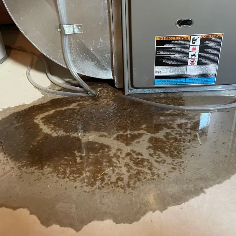 Pipe Burst and Leak Restoration in Eureka County, NV